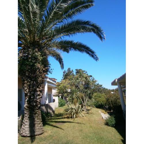 Appartamenti Il Giardino