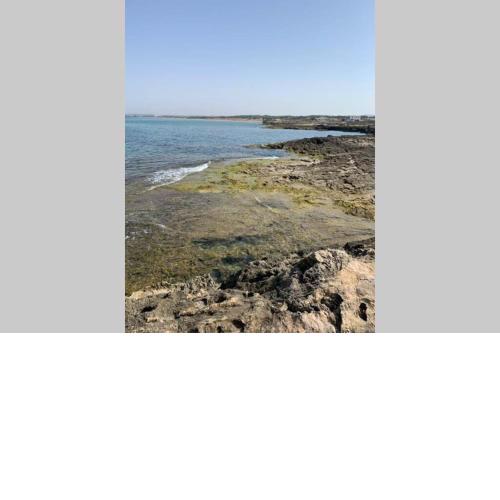 Appartamento al mare
