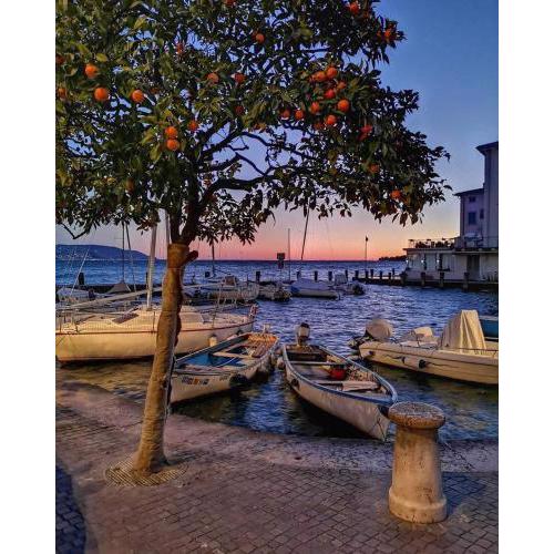 Appartamento Al Porticciolo