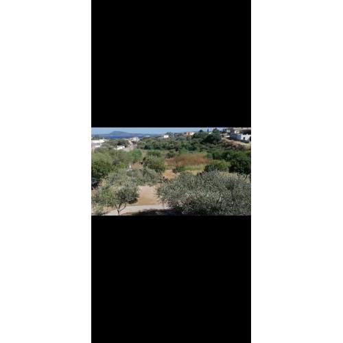 appartamento Ale