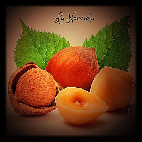 Appartamento arredato uso turistico "La Nocciola"