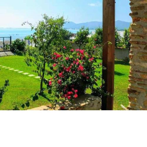 Appartamento Bouganville 2
