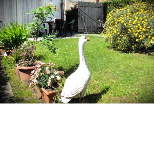 Appartamento con giardino a 5 minuti dal mare
