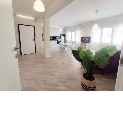 Appartamento due camere Conegliano Centro