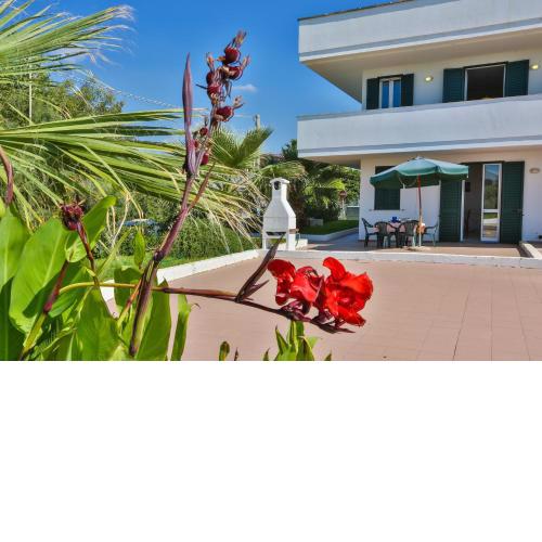 Appartamento fronte spiaggia