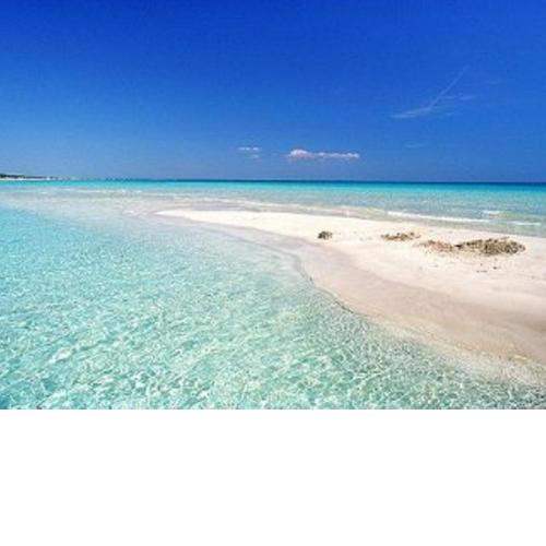 Appartamento Gallipoli