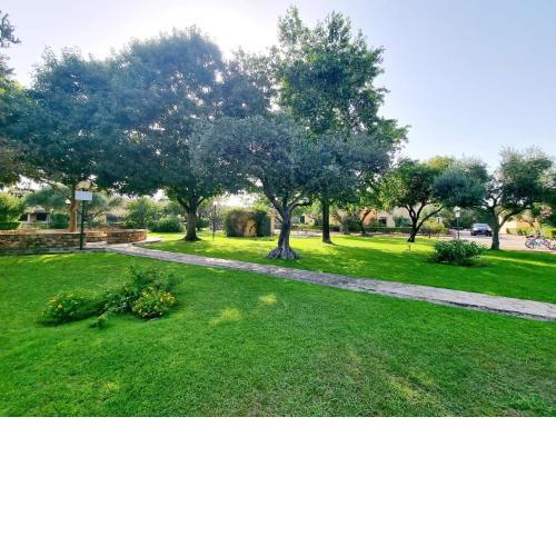 APPARTAMENTO GLI ULIVI SAN TEODORO CENTRO