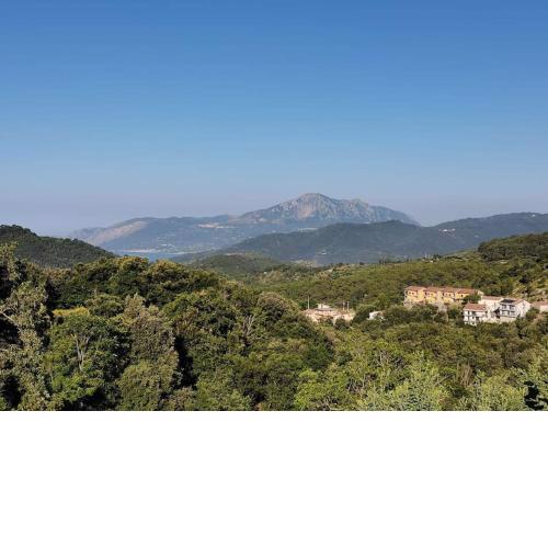 Appartamento "Il Glicine"