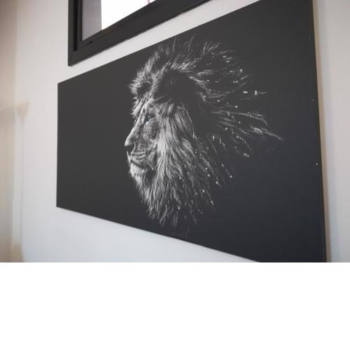 Appartamento il Leone
