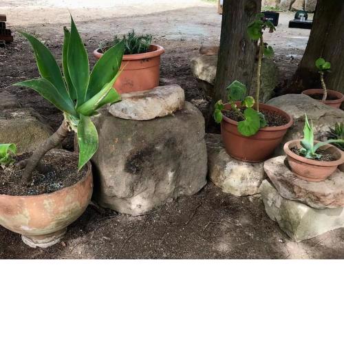 Appartamento in Villa G reco