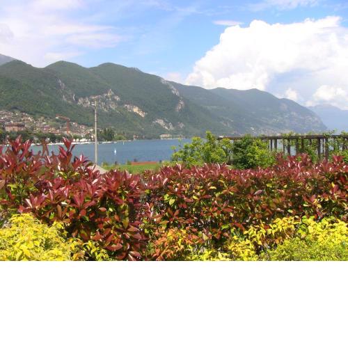 appartamento Luisa al lago d'Iseo