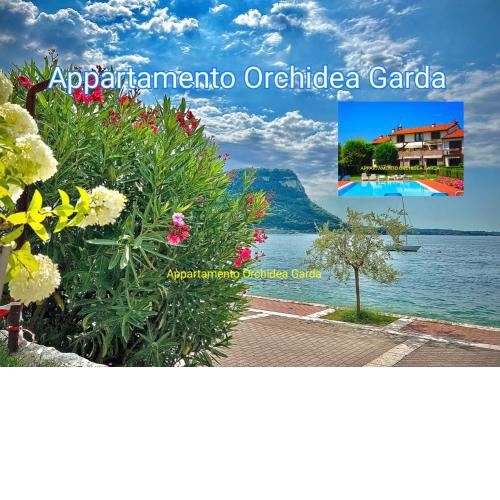 Appartamento Orchidea Garda