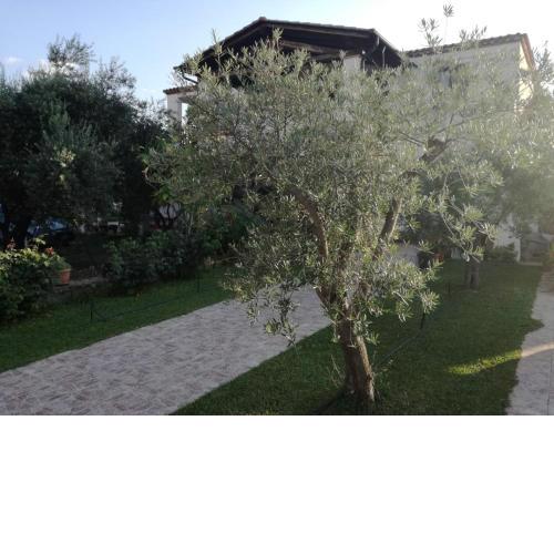 Appartamento Orto degli Ulivi (IUN Q0393)