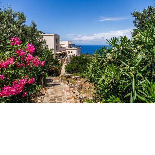 Appartamento Panoramica