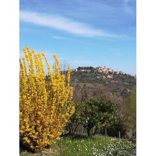Appartamento Panoramico