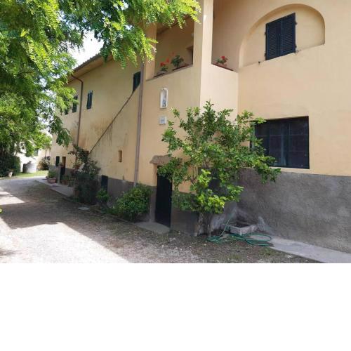 Appartamento Podere Il Pino 1