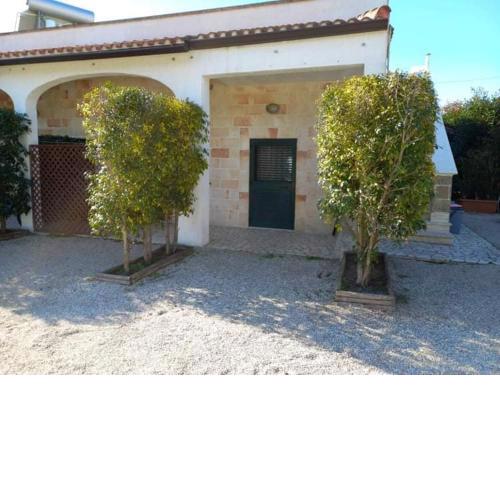 Appartamento Porto Cesareo