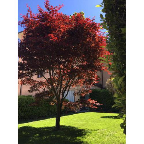Appartamento rosada