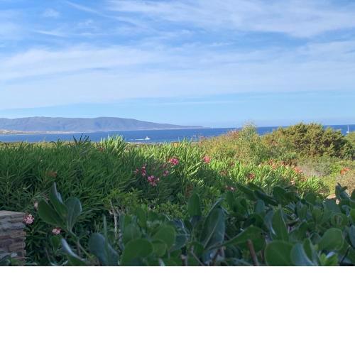 Appartamento Sole e Mare