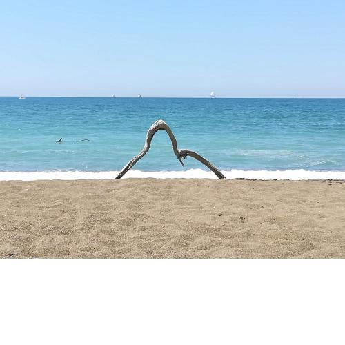 Appartamento Spina
