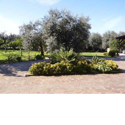Appartamento tra collina e mare