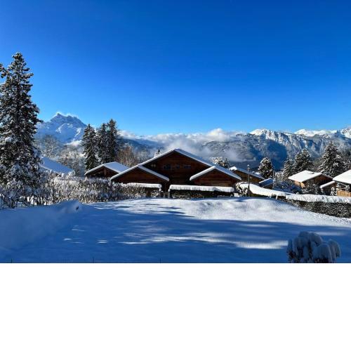 Appartement - Villars Sur Ollon