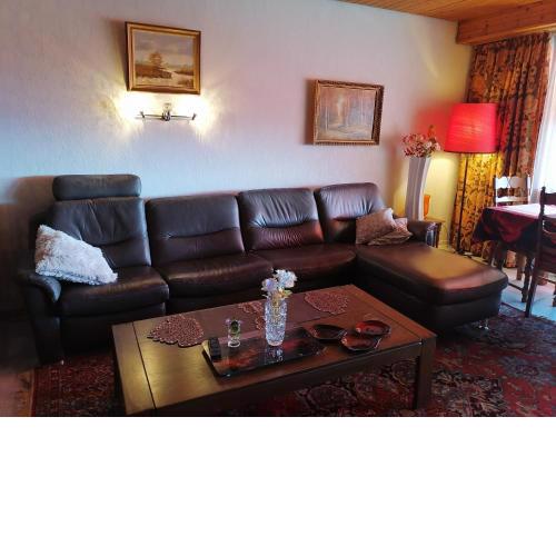 Appartement 53m2 gross möbliert mit Internet-TV Küche Mit schöner Aussicht 53 m2 in zwischen Olten und Aarau