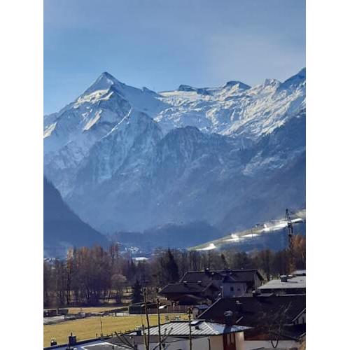 Appartement Alpenheim