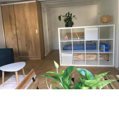 Appartement aux charmes Parisien