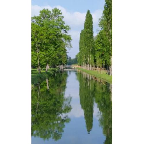 Appartement beim Schloss