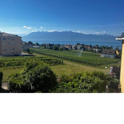 Appartement cosy à Pully avec vue époustouflante