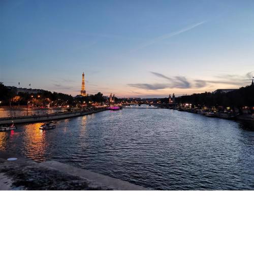 Appartement Cosy entre Tour-Eiffel et Champs Elysee
