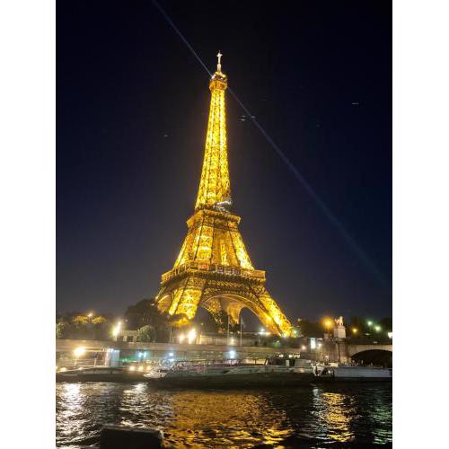 Appartement cosy proche de la Tour Eiffel