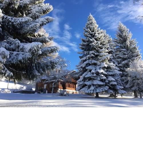 Appartement dans Chalet