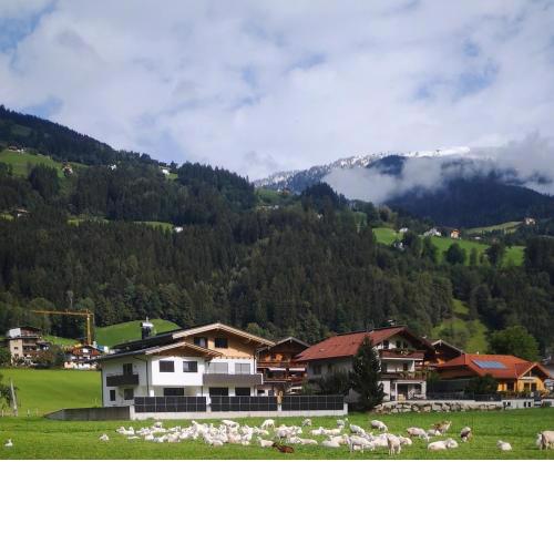Appartement Glücksschmiede