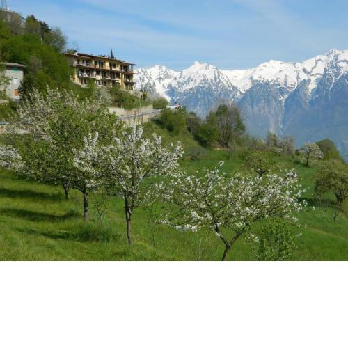 Appartement in Tignale mit Privater Terrasse