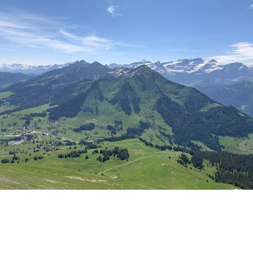 Appartement les Myosotis
