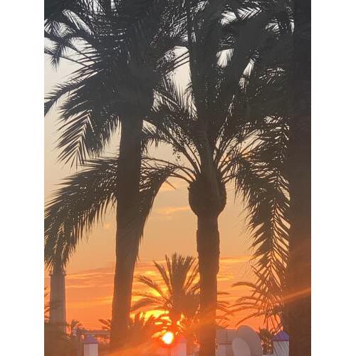 Appartement Palmeras Puerto Paraiso Estepona