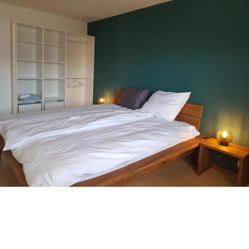 Appartement Randogne