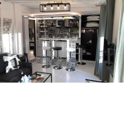Appartement Rousselet Quartier Bon Marché Paris VIIème