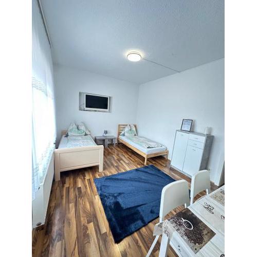 Appartement Schwanenstadt