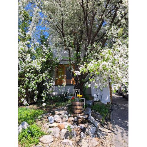 Appartement Sonnblick