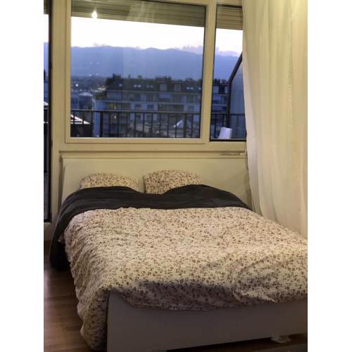 Appartement sous la Rose en plein CENTRE DE GENÈVE