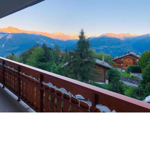Appartement traversant secteur Violettes
