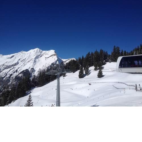 Appartment Chalet Sonnenheim