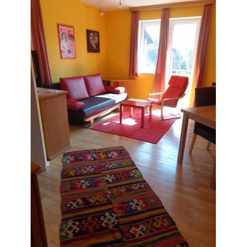 Appartment Mountain View
