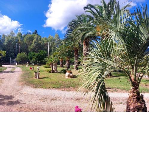 Apt 1 Tenuta Le Palme