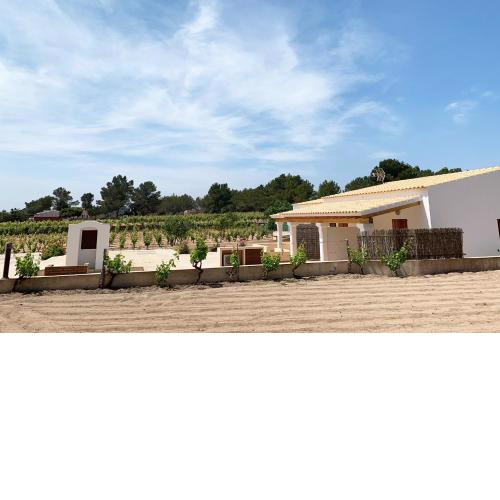 Aptos rurales Sa Barda - Viñedos y tranquilidad
