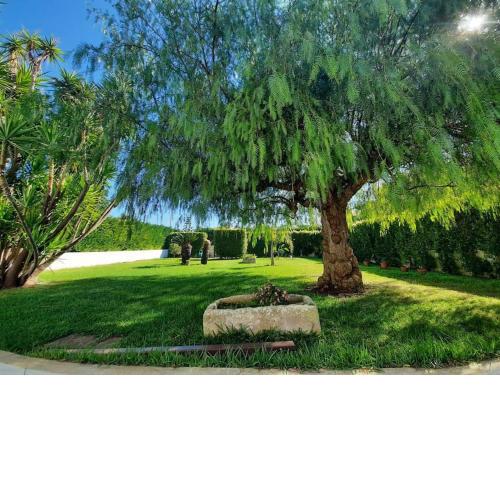 Apulian House Garden