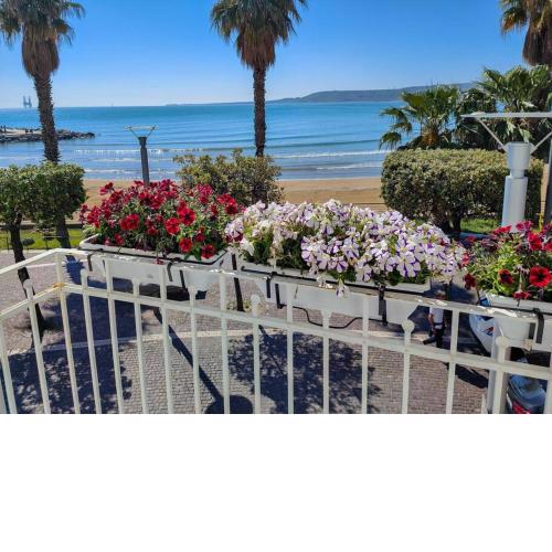 AquaMar Bed and Breakfast